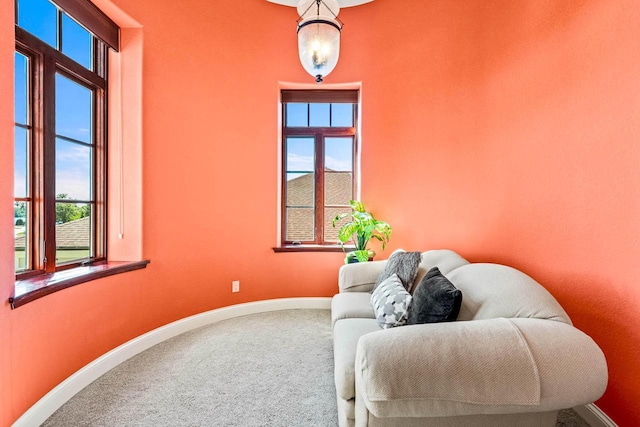 sitting room featuring baseboards and carpet floors