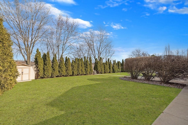 view of yard featuring a storage shed and an outdoor structure