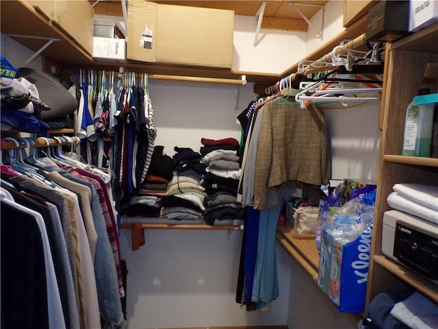 view of walk in closet