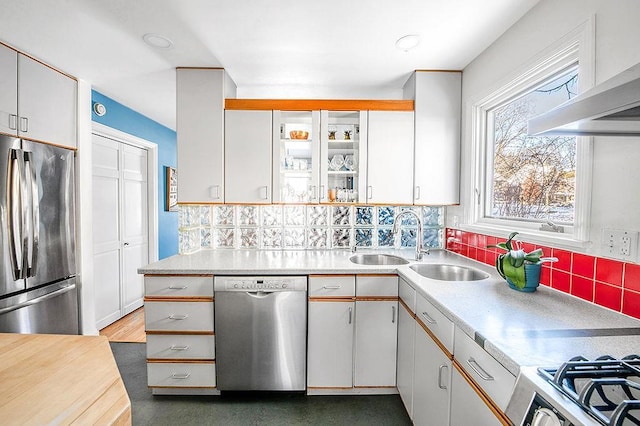 kitchen with a sink, decorative backsplash, light countertops, stainless steel appliances, and under cabinet range hood