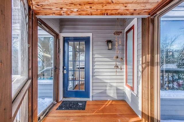 doorway featuring a wealth of natural light and wood walls