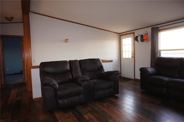 living room with crown molding and wood finished floors