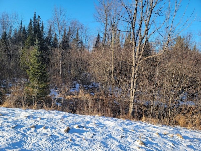 ON Luds Ln, Loretta WI, 54896 land for sale