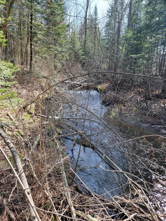 ON Luds Ln, Loretta, WI 54896