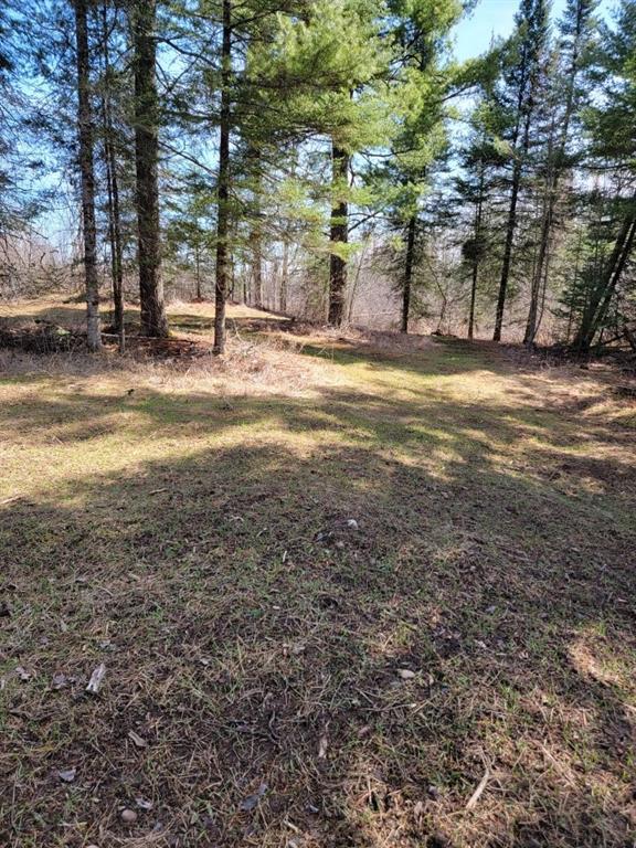 ON Luds Ln, Loretta, WI 54896