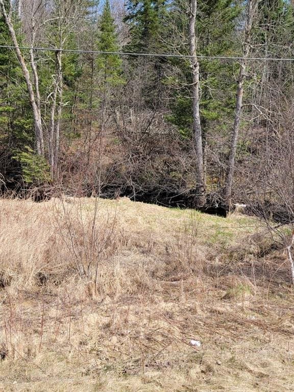 ON Luds Ln, Loretta, WI 54896