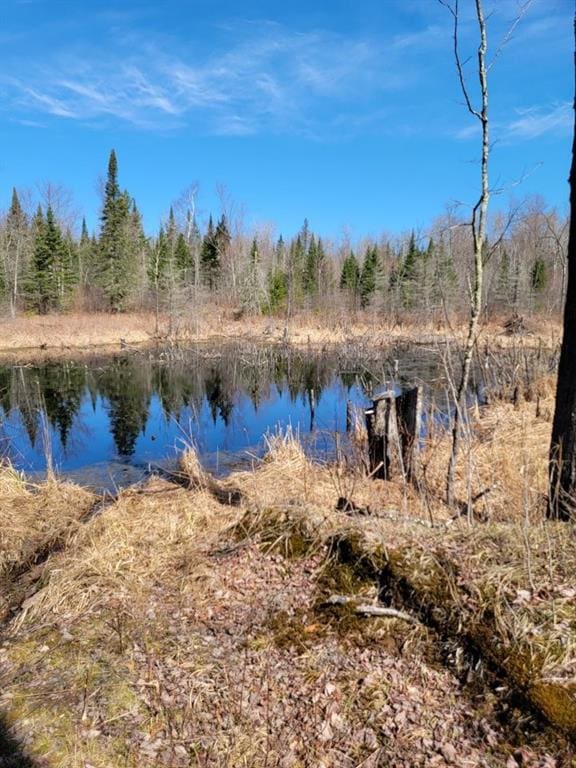 ON Luds Ln, Loretta, WI 54896