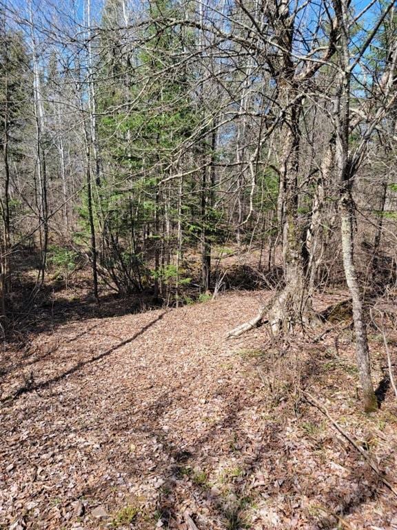 ON Luds Ln, Loretta, WI 54896