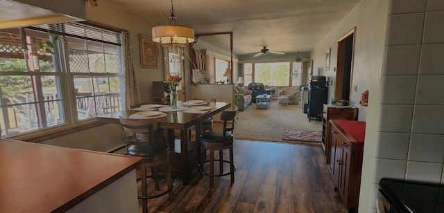 dining space with dark wood-type flooring and ceiling fan