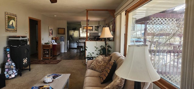 carpeted living room with a healthy amount of sunlight