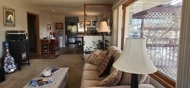 carpeted living area featuring a wealth of natural light