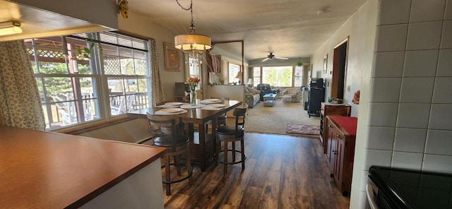 dining space featuring dark wood finished floors and a ceiling fan