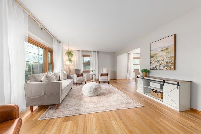 living room featuring wood finished floors