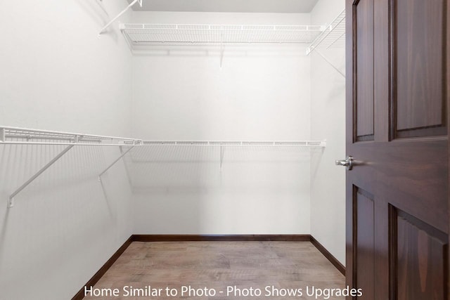 walk in closet with light wood finished floors