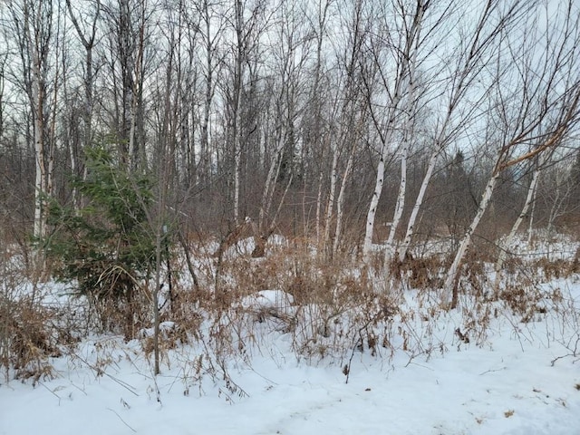 5ACRESOFF Weirgor Rd, Exeland, WI 54835