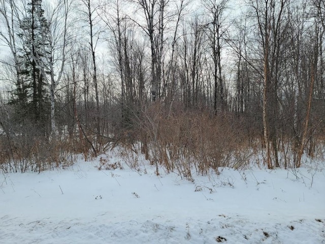 5ACRESOFF Weirgor Rd, Exeland, WI 54835