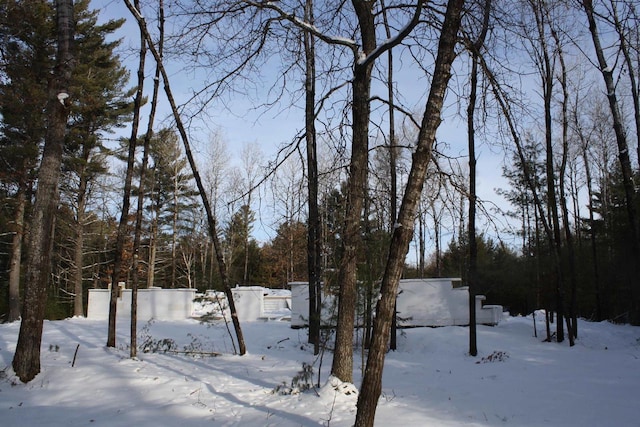 view of yard covered in snow