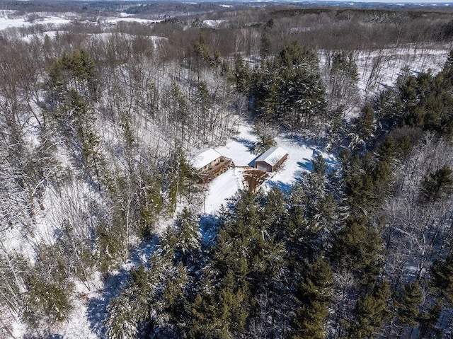 drone / aerial view with a forest view