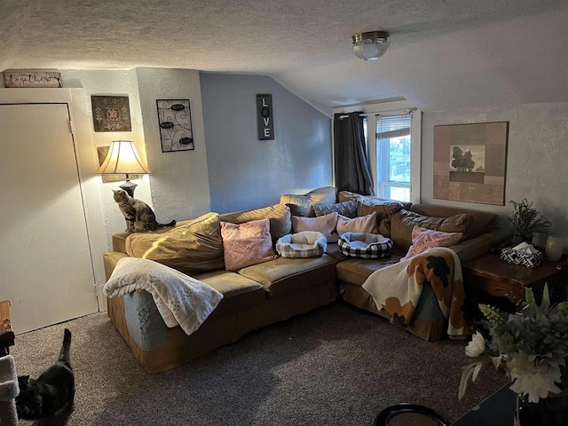 living room featuring carpet flooring, a textured ceiling, lofted ceiling, and a textured wall