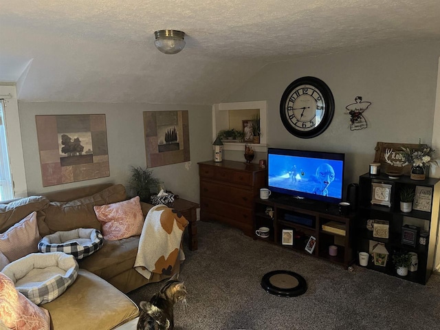 living area with lofted ceiling, carpet, and a textured ceiling