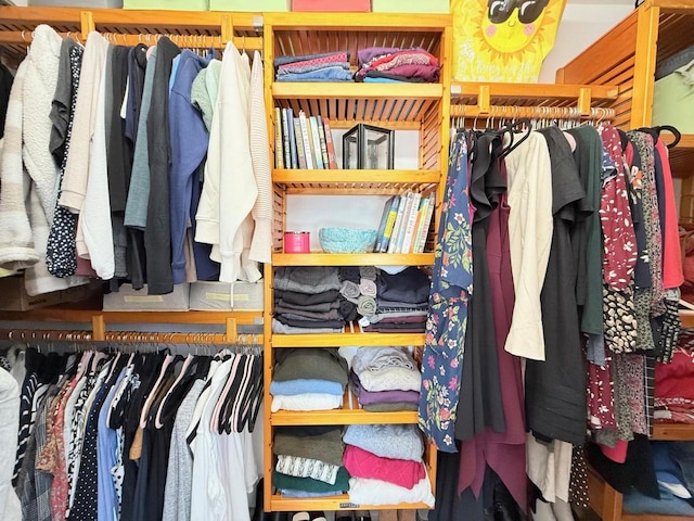 view of closet