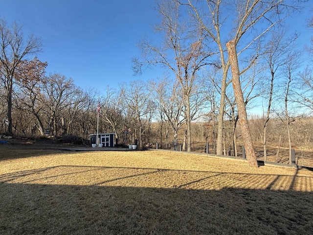 view of yard with an outdoor structure