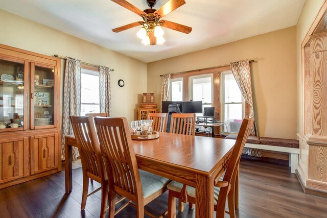 dining space with a ceiling fan, wood finished floors, and a wealth of natural light