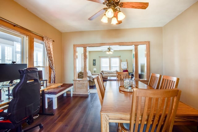 dining room with dark wood finished floors and ceiling fan