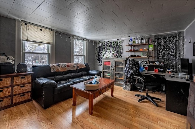 living room featuring wood finished floors