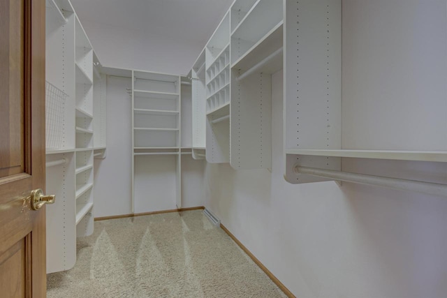 walk in closet featuring carpet floors