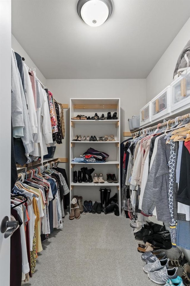 784 Westbridge Trl, Waunakee, WI 53597 - walk in closet with carpet flooring