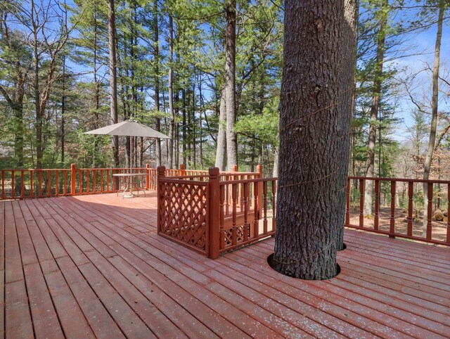 W3864 W Lemonweir Ct, Mauston, WI 53948 - view of deck