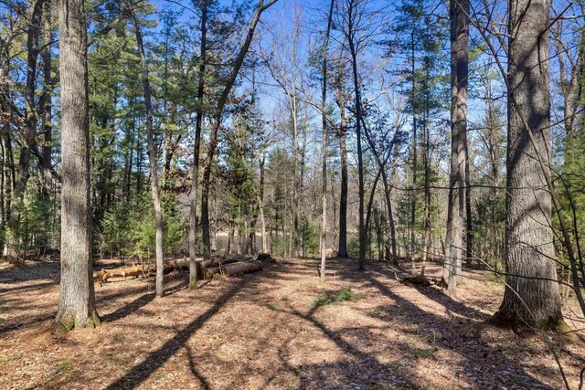 W3864 W Lemonweir Ct, Mauston, WI 53948 - view of yard with a forest view