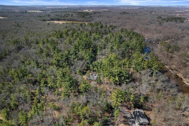 W3864 W Lemonweir Ct, Mauston, WI 53948 - drone / aerial view featuring a view of trees