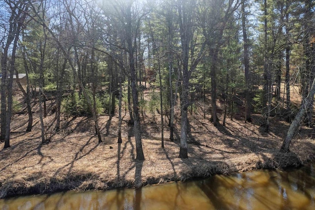W3864 W Lemonweir Ct, Mauston, WI 53948 - view of water feature with a view of trees