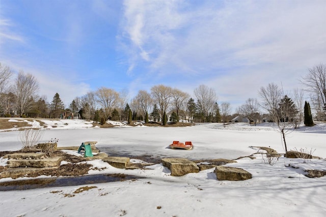 view of yard layered in snow