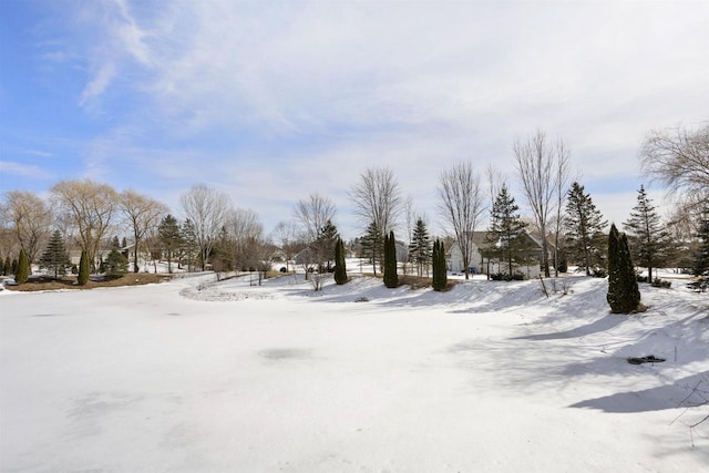 view of yard covered in snow