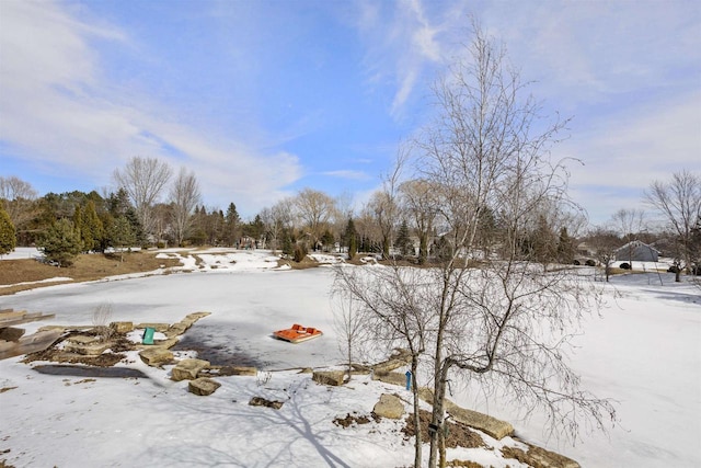 view of yard layered in snow