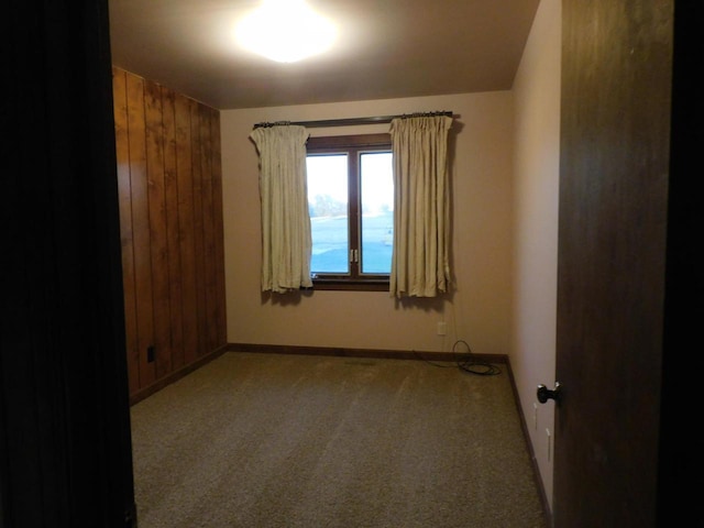 empty room featuring wood walls, baseboards, and carpet