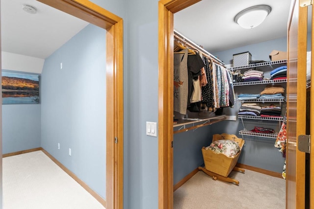 spacious closet featuring carpet flooring