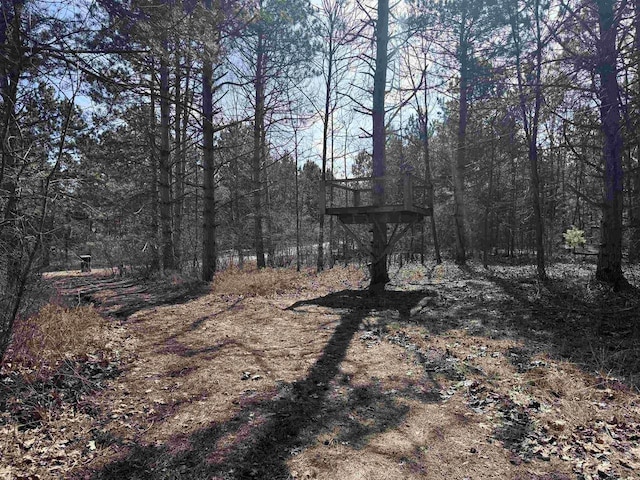 view of local wilderness with a forest view