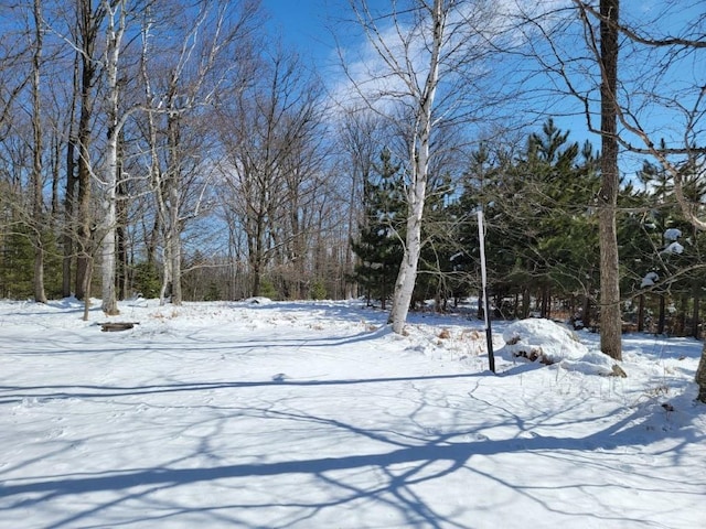 view of snowy yard