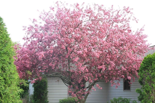 view of side of property