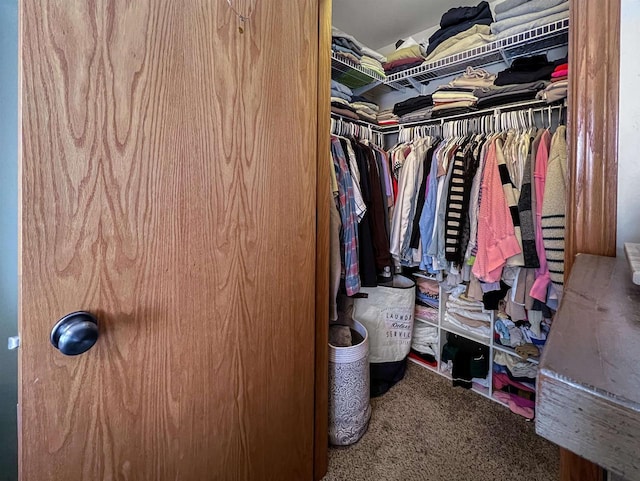 walk in closet with carpet