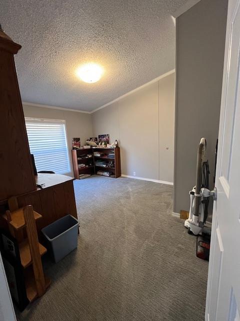 carpeted office space with crown molding and a textured ceiling