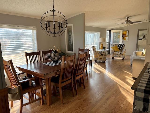 dining area featuring ornamental molding, plenty of natural light, light wood-type flooring, and a textured ceiling