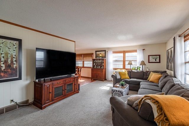 carpeted living room with visible vents and a textured ceiling