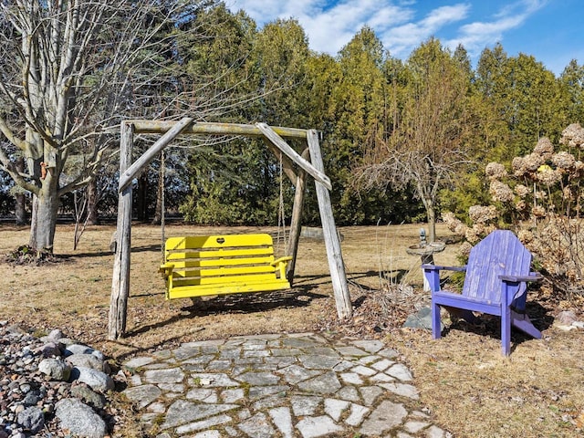 view of jungle gym