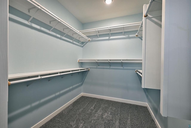 spacious closet with dark colored carpet