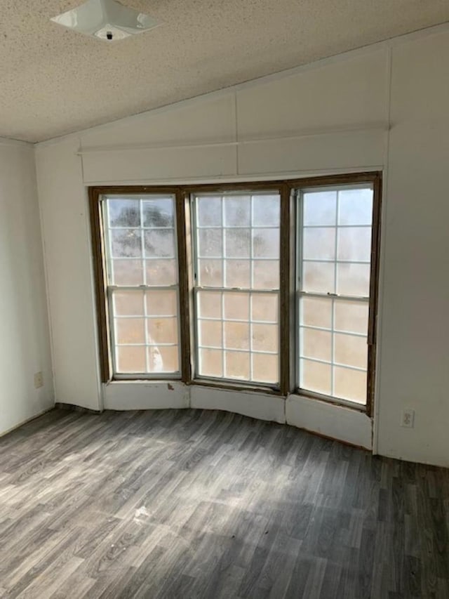 spare room featuring vaulted ceiling, wood finished floors, and a textured ceiling